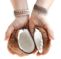 Or&aacute;culo del Coco